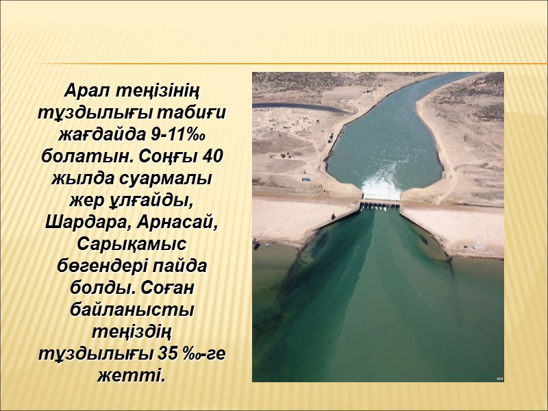 Арал теңізінің тұздылығы табиғи жағдайда 9-11‰ болатын. Соңғы 40 жылда суармалы жер ұлғайды, Шардара,